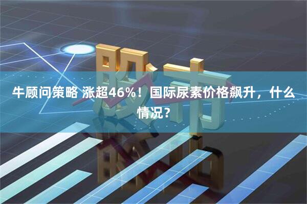 牛顾问策略 涨超46%！国际尿素价格飙升，什么情况？