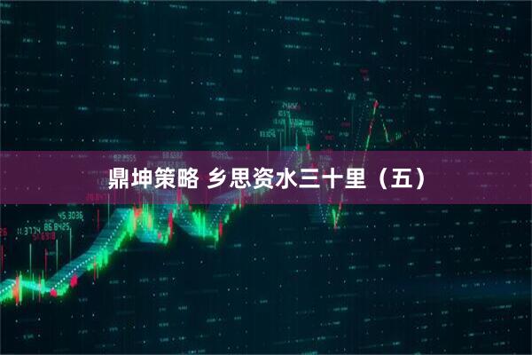 鼎坤策略 乡思资水三十里（五）