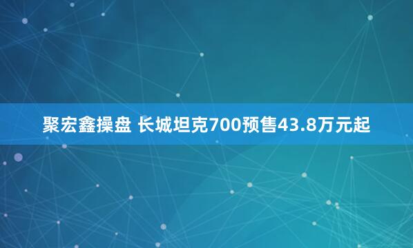 聚宏鑫操盘 长城坦克700预售43.8万元起