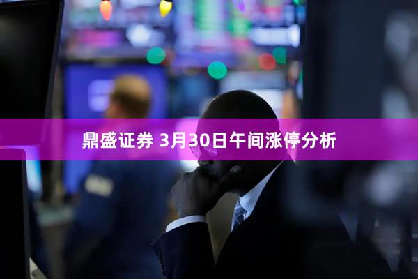 鼎盛证券 3月30日午间涨停分析