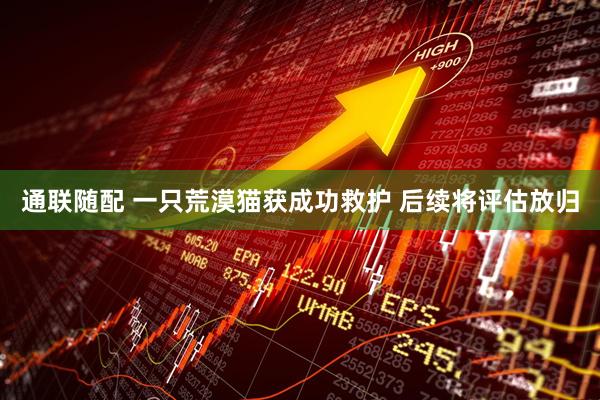 通联随配 一只荒漠猫获成功救护 后续将评估放归