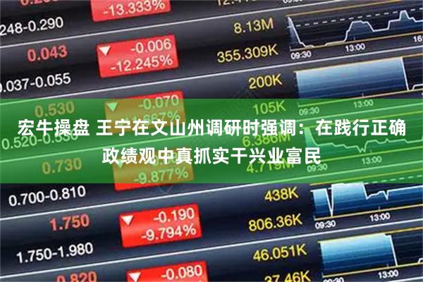 宏牛操盘 王宁在文山州调研时强调：在践行正确政绩观中真抓实干兴业富民