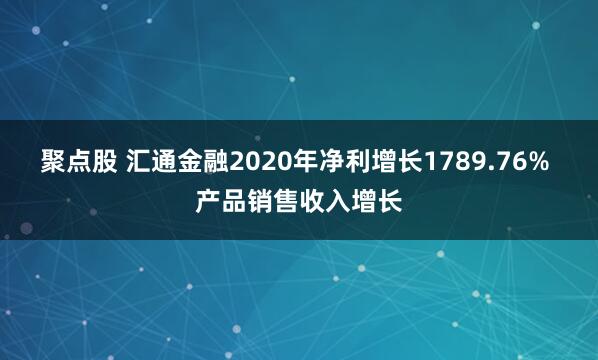 聚点股 汇通金融2020年净利增长1789.76% 产品销售收入增长