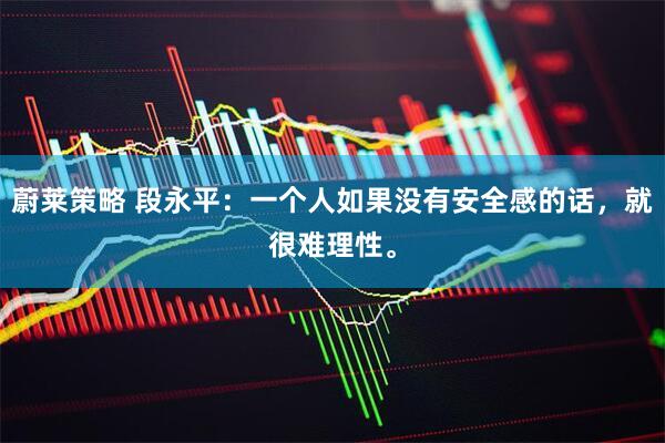 蔚莱策略 段永平：一个人如果没有安全感的话，就很难理性。
