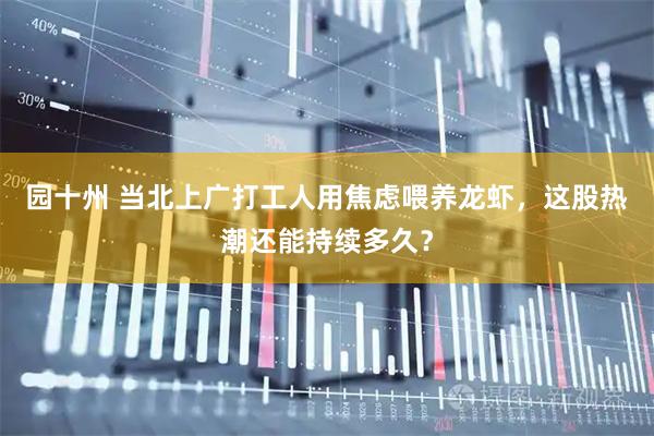 园十州 当北上广打工人用焦虑喂养龙虾，这股热潮还能持续多久？
