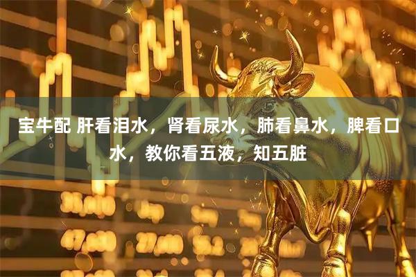 宝牛配 肝看泪水，肾看尿水，肺看鼻水，脾看口水，教你看五液，知五脏