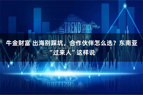 牛金财富 出海别踩坑，合作伙伴怎么选？东南亚“过来人”这样说