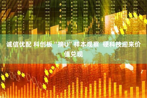 诚信优配 科创板“摘U”样本观察  硬科技迎来价值兑现