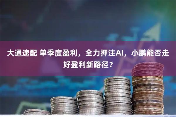 大通速配 单季度盈利，全力押注AI，小鹏能否走好盈利新路径？