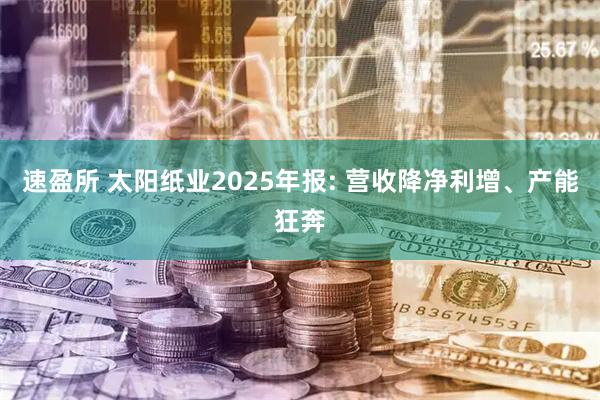 速盈所 太阳纸业2025年报: 营收降净利增、产能狂奔