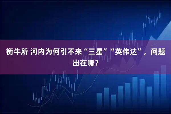 衡牛所 河内为何引不来“三星”“英伟达”，问题出在哪？