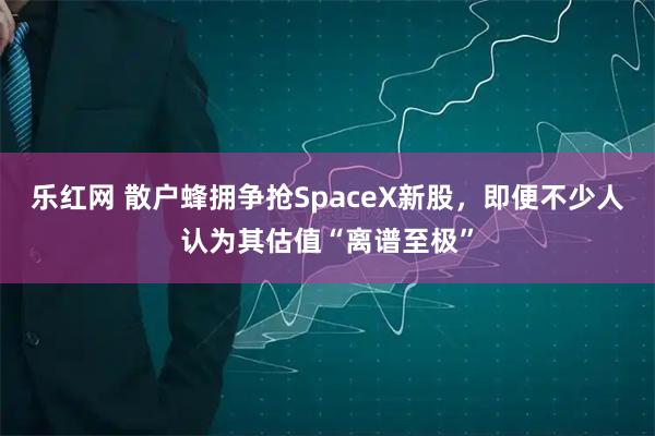 乐红网 散户蜂拥争抢SpaceX新股，即便不少人认为其估值“离谱至极”
