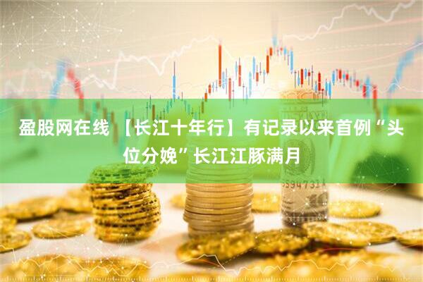 盈股网在线 【长江十年行】有记录以来首例“头位分娩”长江江豚满月