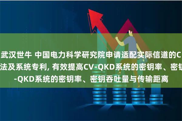 武汉世牛 中国电力科学研究院申请适配实际信道的CV-QKD参数优化方法及系统专利, 有效提高CV-QKD系统的密钥率、密钥吞吐量与传输距离